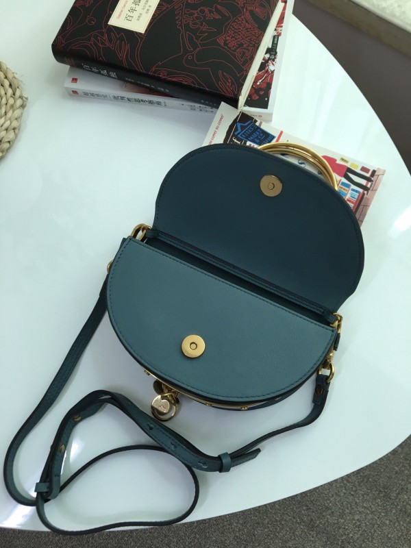 Chloe Nile bag