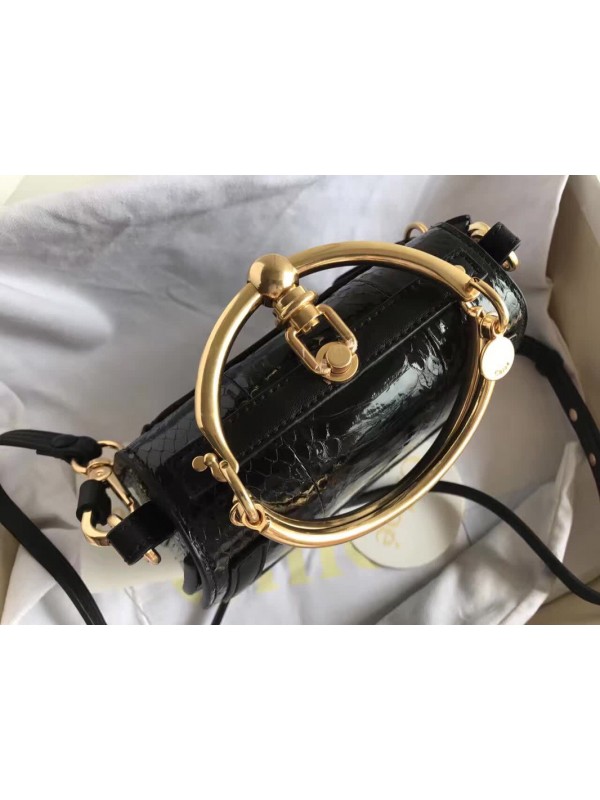 Chloe Nile bag