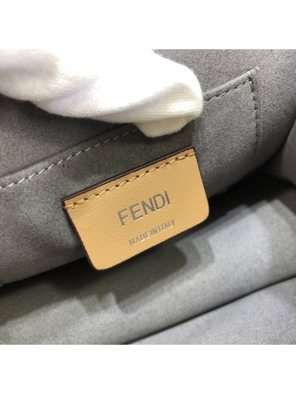 Fendi Kani Bag