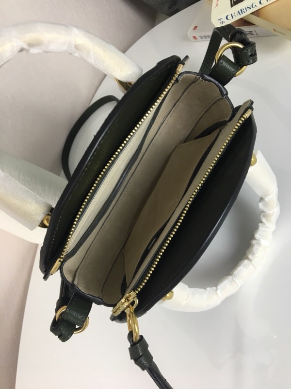 Chloe Pixie bag